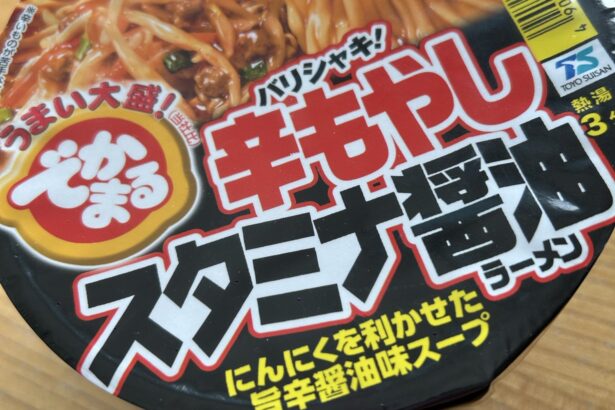 でかまる 辛もやしスタミナ醤油 写真1
