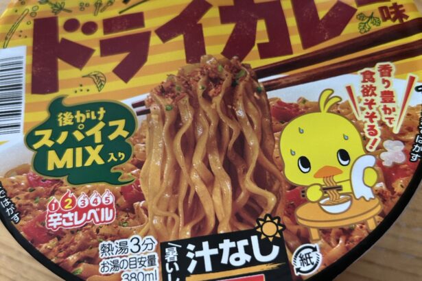 チキンラーメン汁なしどんぶり スパイス香るドライカレー味 写真1