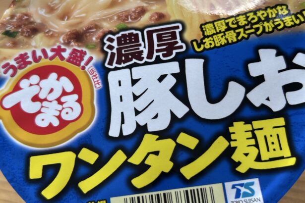 でかまる 濃厚豚しおワンタン麺 写真1